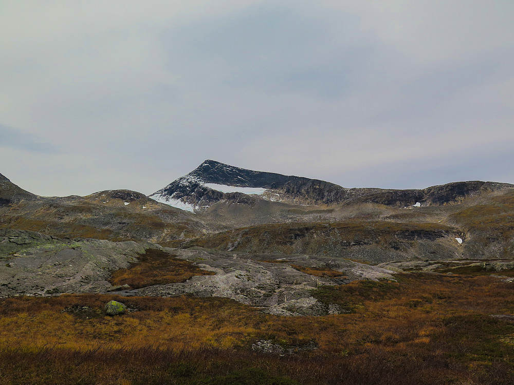 Lurfjelltinden, Bodøs tak, sett fra NØ