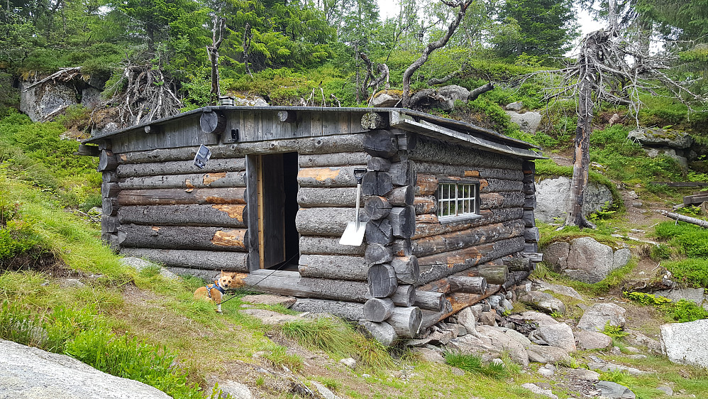 Tok en tur innom hjemmefronthytta på vei opp.