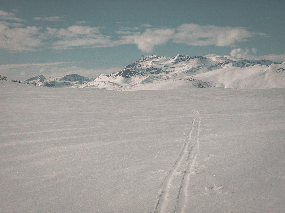 Kryssa eit skispor som kom opp frå Gråsjøen - eit av få teikn på menneskeleg ferdsel i ellers temmeleg urørt natur. Nok ein gong med Snota i bakgrunnen. 