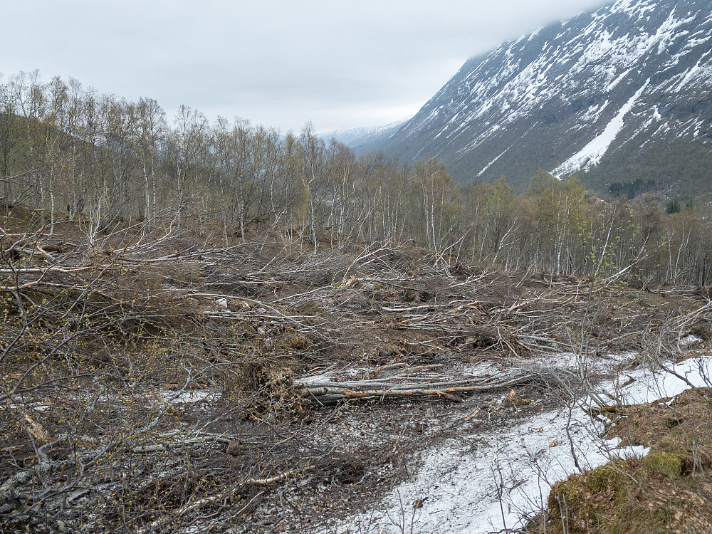 Heftige og ikkje minst ganske skremmende scener etter skredet som gjekk tidlegare i vinter/vår