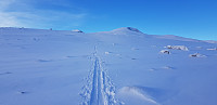 Otard_20201214_5fd744c50c437.jpg