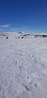 Otard_20210706_60e41ea1ae174.jpg