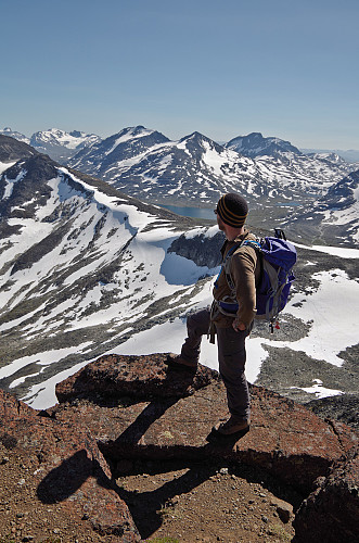 Myser på fjell