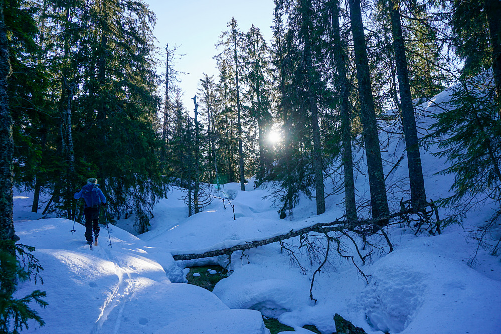 Oda jobber bra med veivalgene i skogen. Dette var forsåvidt åpent og fint i sammenligning til mye annet.