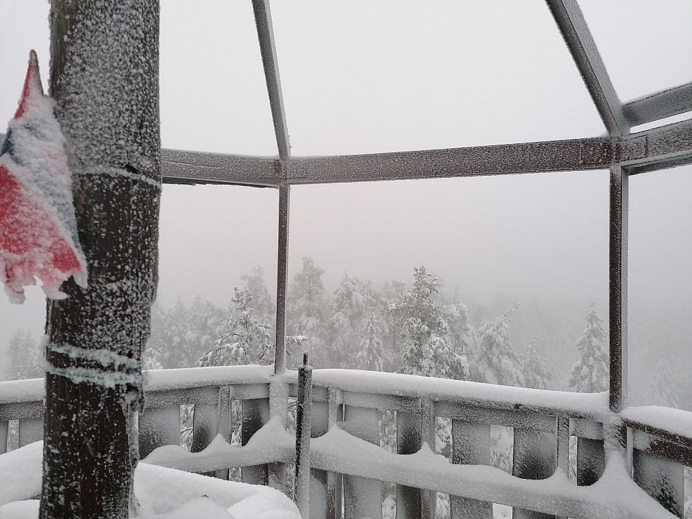 Fra tårnet på Seteråsen, Svelvik