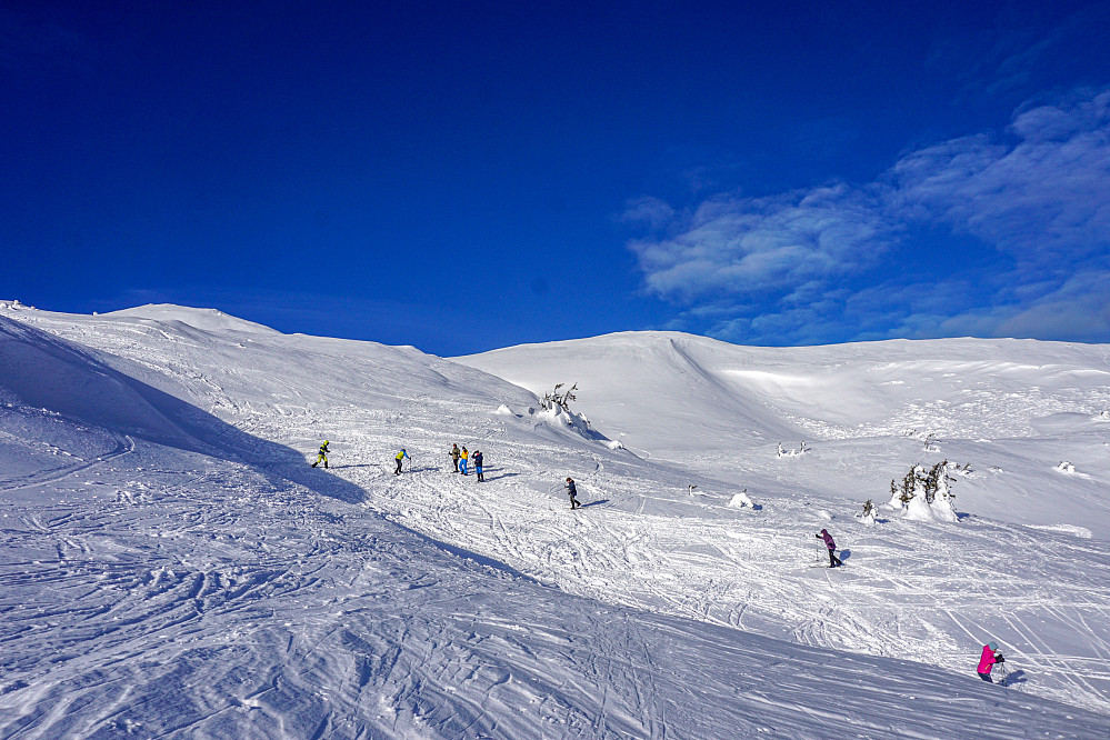 Skileik