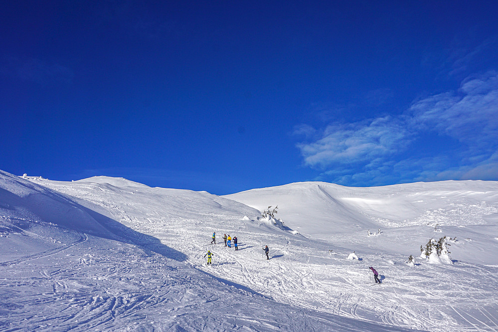 Skileik - Tassia is racing 