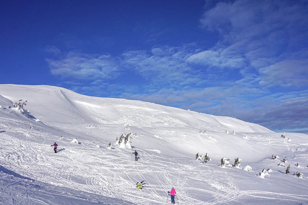 Skileik - Tassia is racing...