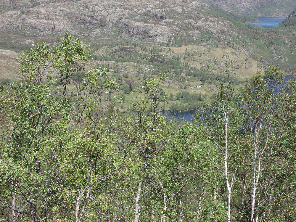 Førland