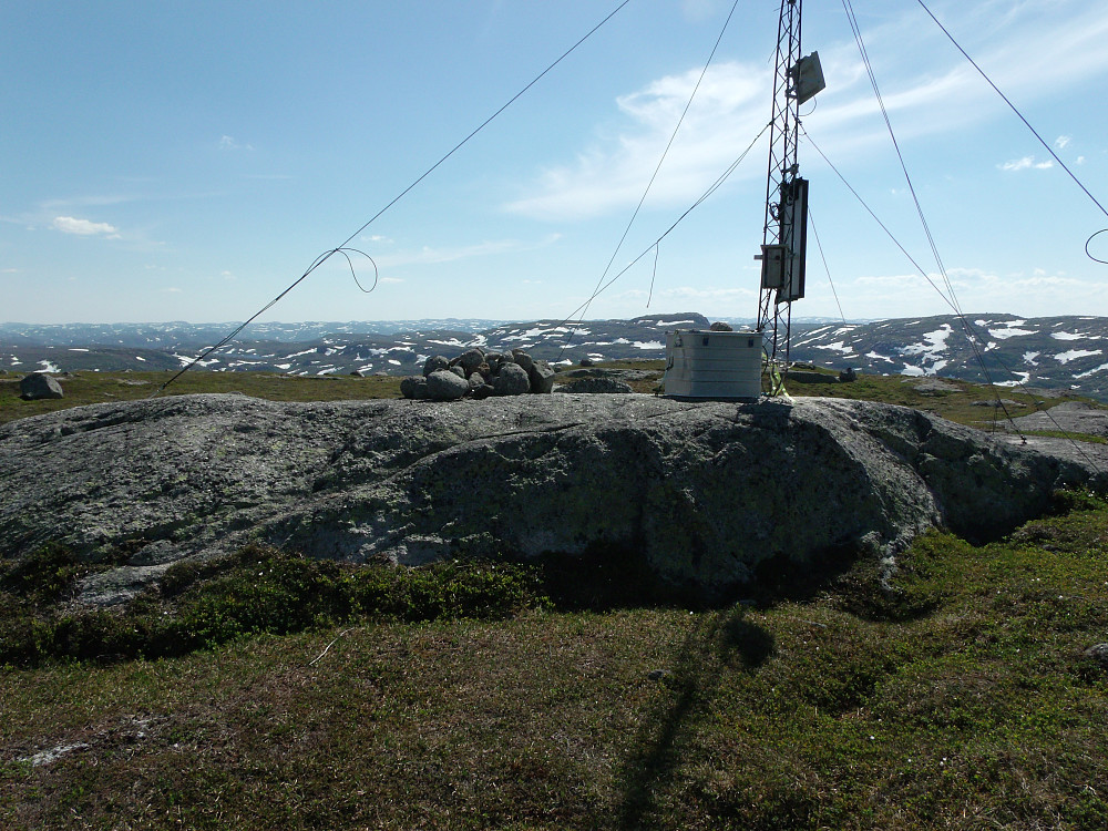 Storekvævknuten