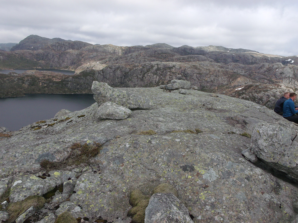 Kalveskogheia