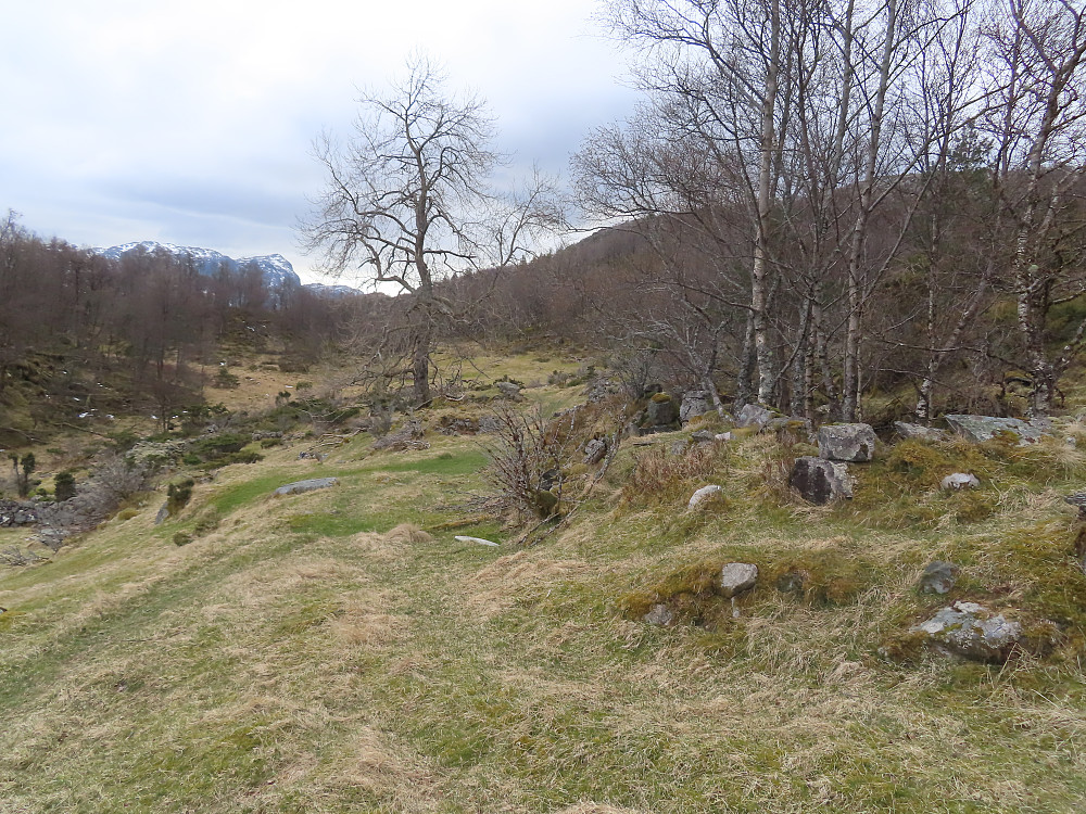 Bjørkestøl