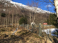JonnyA_20170304_58baa170d366a.jpg