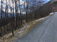 JonnyA_20170304_58baa17281d98.jpg