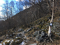 JonnyA_20170304_58baa173e8fbd.jpg