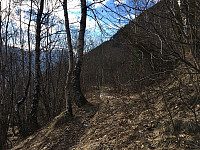 JonnyA_20170304_58baa174eb1e6.jpg