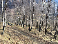 JonnyA_20170304_58baa176b52b1.jpg