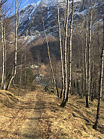 JonnyA_20170304_58baa178e44e0.jpg