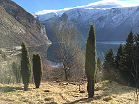 JonnyA_20170304_58baa17aa9c13.jpg