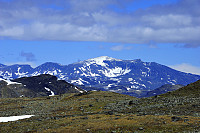 JonnyA_20170625_594f6e7d0c1ef.jpg