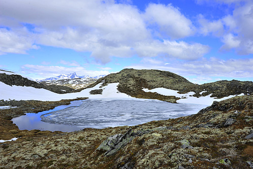 Utsikt nordover