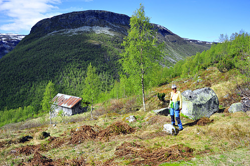 Frå øvste selet går stien skrått til høgre mot ein stor kvit stein. Horgi i bakgrunnen.
