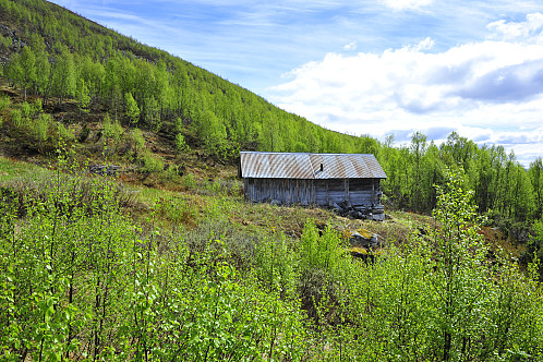 Erik-selet i Skår