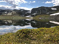 JonnyA_20190711_5d273131a24dc.jpg