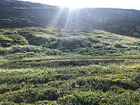 JonnyA_20190801_5d4309e05ef7c.jpg