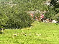 JonnyA_20200810_5f3173ed15e51.jpg