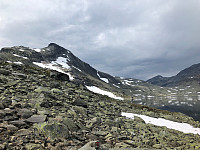 JonnyA_20200818_5f3c0041695e1.jpg