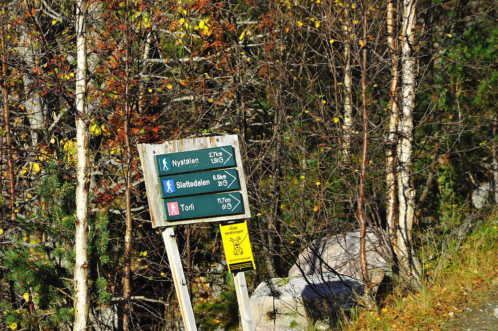 Turen startar i Bordhaugsvingen på Åsete.