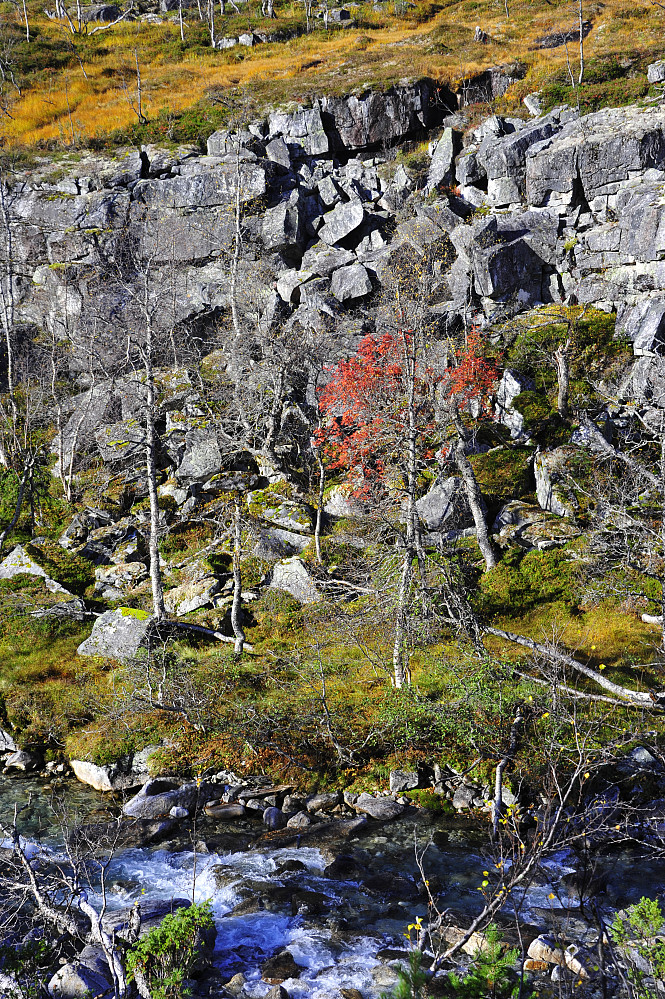 Fine haustfargar og reint vatn.