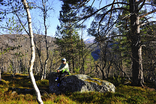 Kvilestein