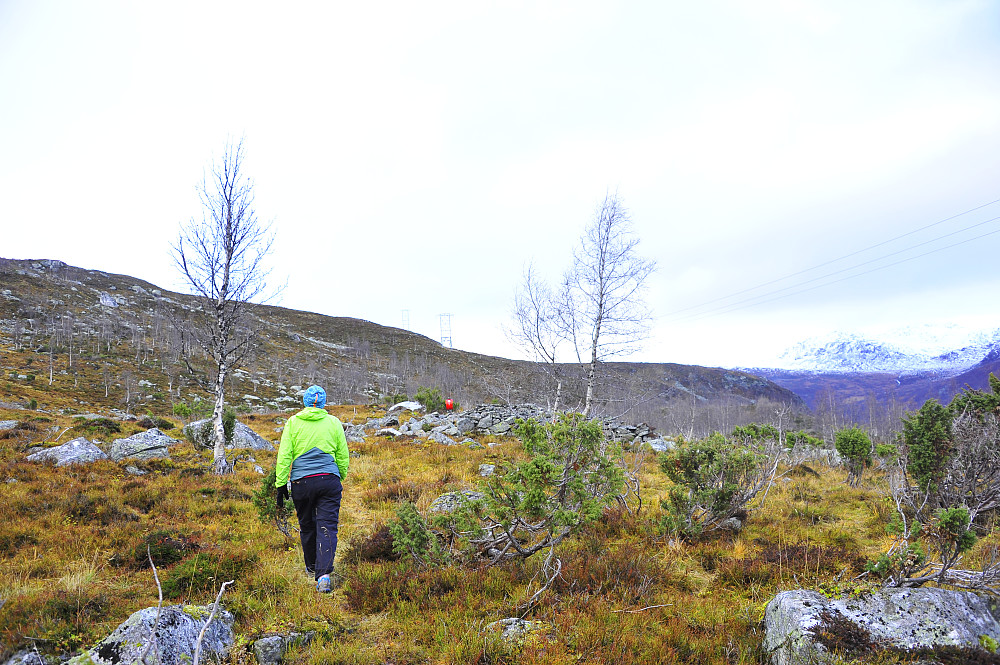 Osestølen