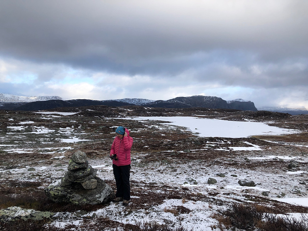 Skavlegilstjernet