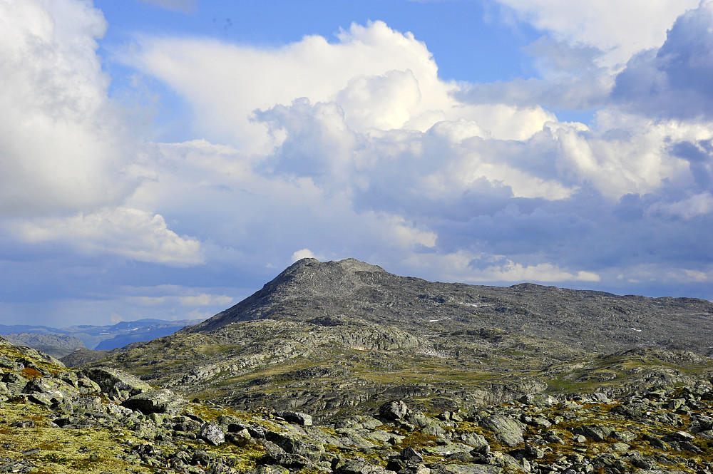 Kråkebergnosi sett frå Tverrberget, nedre.