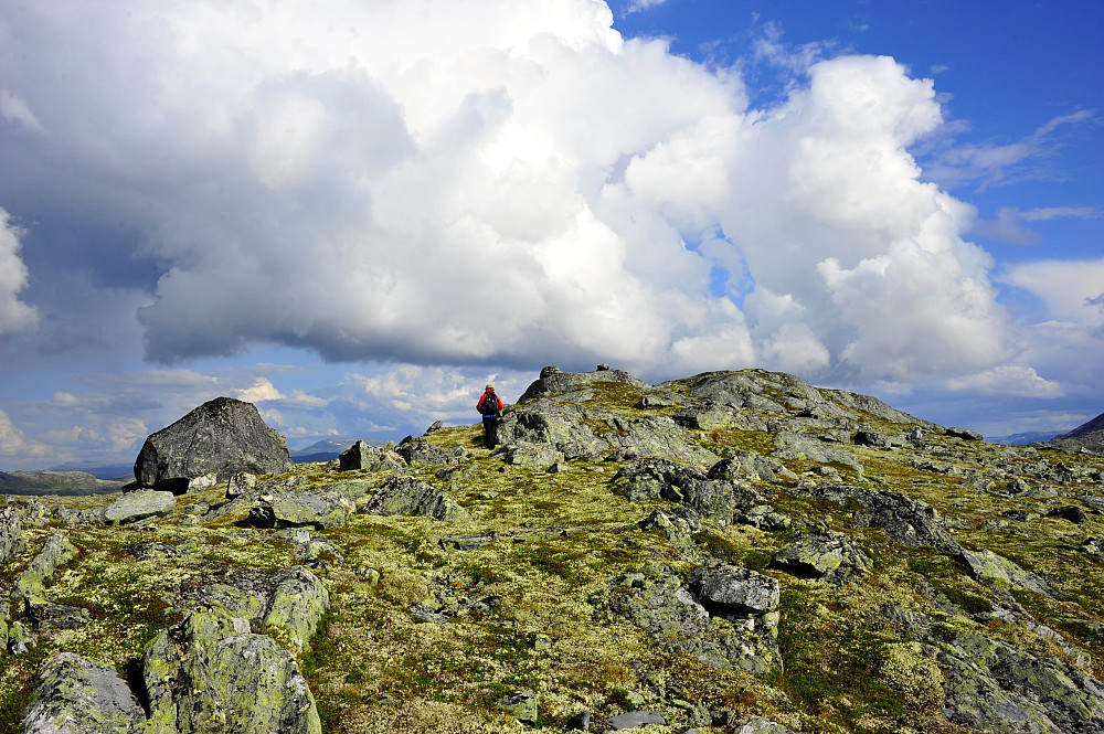 Nedre Tverrberget (Tverrberget, Nedre)