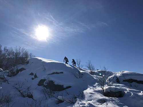 Kjortåsen