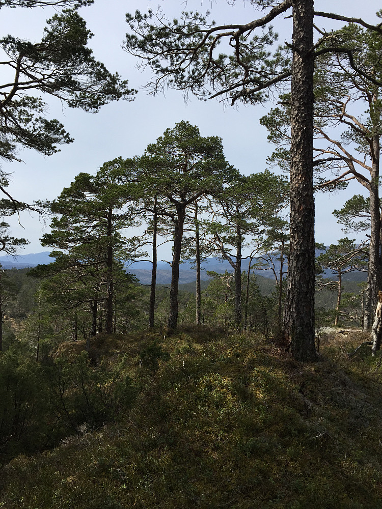 Høyeste punkt på Bygdaåsen