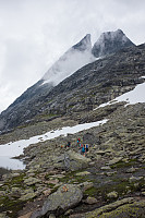 elbow_20160809_57aa345b5964c.jpg