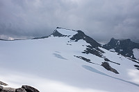 elbow_20160809_57aa358258c7d.jpg