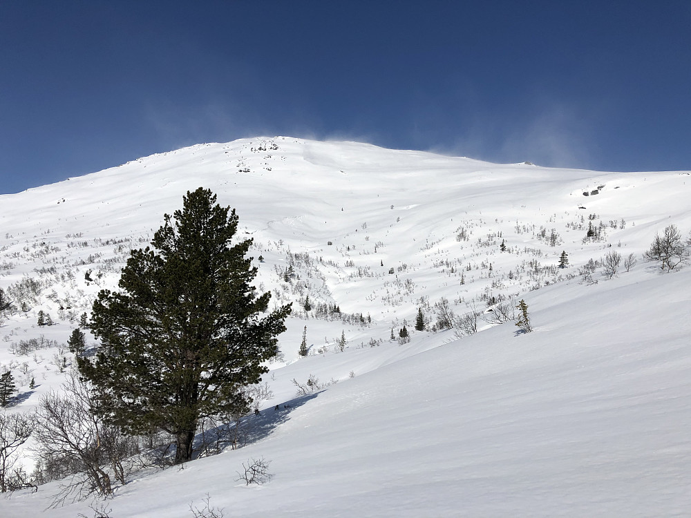 Toppen sett fra Grasberget. Tydelig snøyføyk fra toppen.
