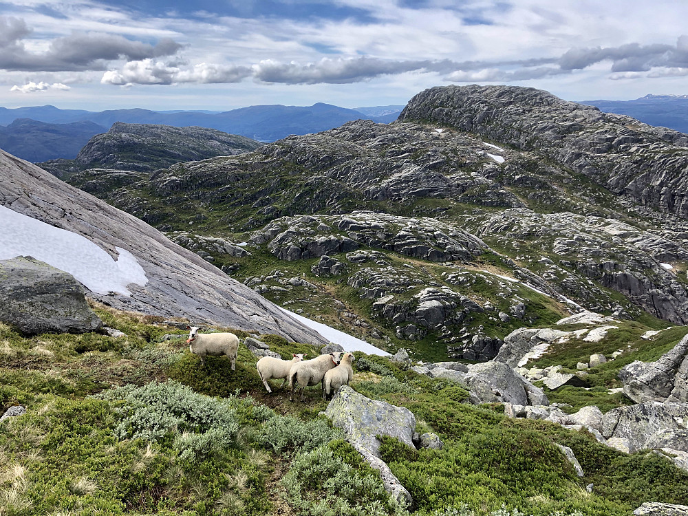 På vei ned «rampen»