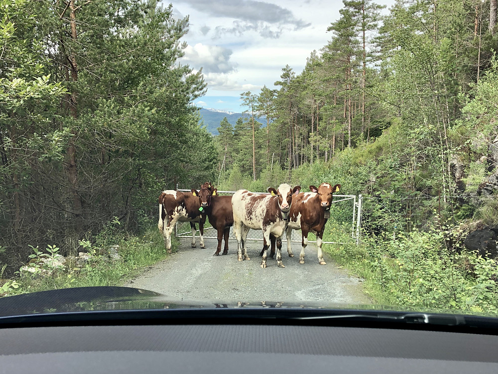 «Thou shall not pass!»