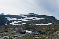 elbow_dsc_1281.jpg