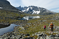 elbow_dsc_1291.jpg