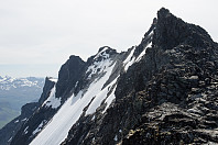 elbow_dsc_1303.jpg