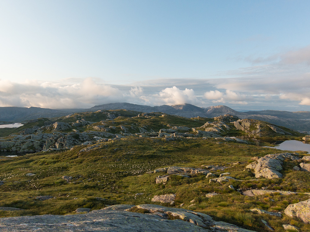 Tveitakvitingen i det fjerne