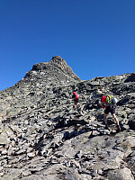 elbow_img_2624.jpg
